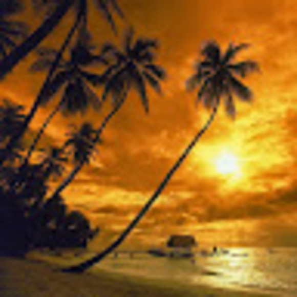 Meet your Posher, Javier - Picture 1 of 1